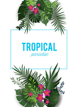 Tropical nature isolated