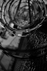 Barbwire in black and white.