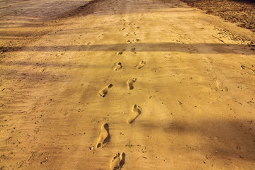footprints in the sand of a beach
