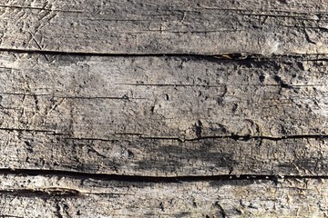 Old Wood Texture