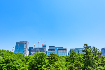Obraz na płótnie Canvas 初夏の高層ビル群　Tokyo city landscape and fresh green in Otemachi Marunouchi.