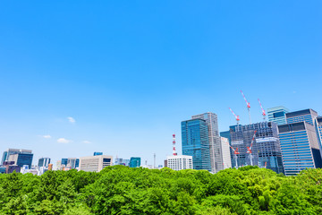 Fototapeta premium 初夏の高層ビル群 Tokyo city landscape and fresh green in Otemachi Marunouchi.