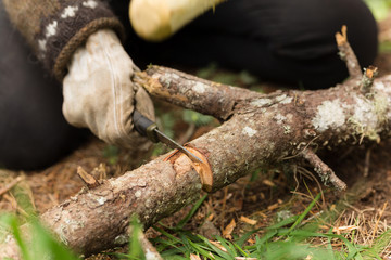 Using a stick hammer and knife to chop through a thick branch in the forest