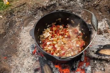 Vegetables cooking in a dutch oven sitting in a campfire outdoors - 207466576