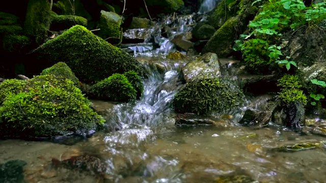 Mountain river - stream flowing through thick green forest, Bistriski Vintgar, Slovenia