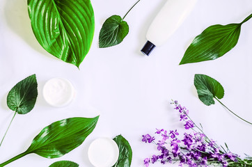 beauty and cosmetics. cream and balm. flowers and leaves.