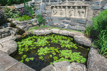 Pond at Washington National Cathedral