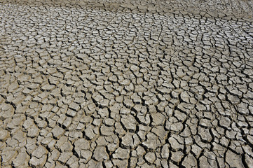 The parched soil