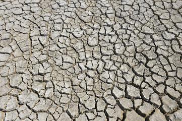 The parched soil