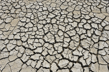 The parched soil