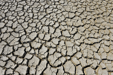 The parched soil