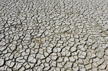 The parched soil