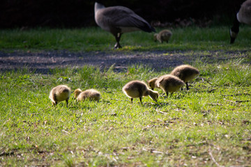 spring is here