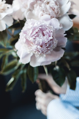 peonie 