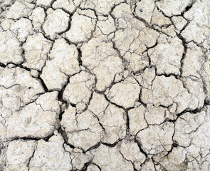 The soil is cracked because of drought.