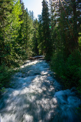 Early Winters Creek Running Through the Forest