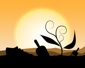 plant a tree;silhouette planting tree background;sunset with growing plant