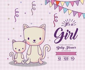 Baby shower invitation with its a girl concept with cute cats over purple background, colorful design. vector illustration