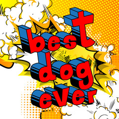 Best Dog Ever - Comic book word on abstract background.