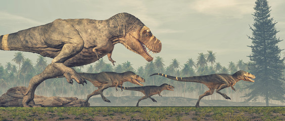 Family of dinosaurs - tyrannosaurus rex.