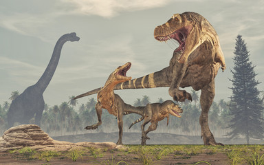 Family of dinosaurs - tyrannosaurus rex. © Orlando Florin Rosu