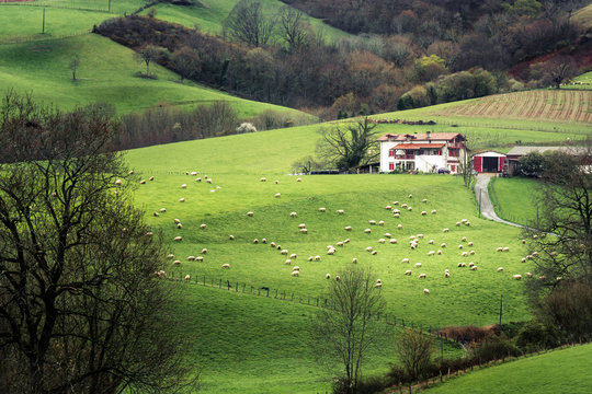 Farmhouse In The French Basque Country