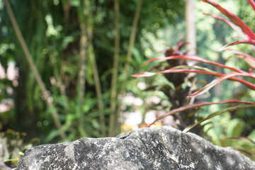 Stone floor pattern For the design