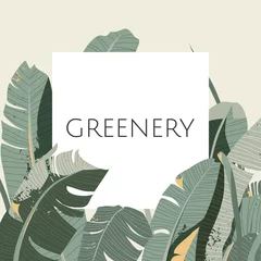 Gardinen Greeting/invitation card design, green banana leaves with white frame on light green background © momosama