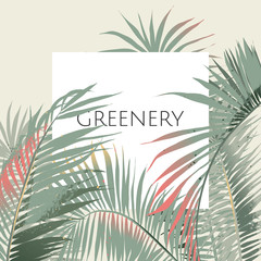 Greeting/invitation card design, green palm leaves with white frame on light green background
