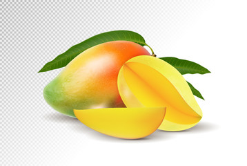 Fototapeta na wymiar Fresh Mango with slice Isolated On White Background. Vector 3d illustration
