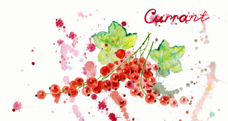 Obraz na płótnie Canvas Red currant, watercolor element for design. Red currant painted in an expressive manner. Ripe berry on a white background. Wild berry. Decorative element for design and creativity.