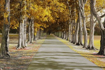 south louisiana autumn drive where the blacktop ends