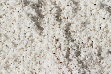 Shredded coconut abstract texture background