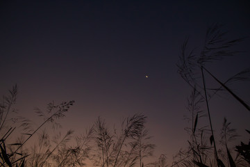 The beauty of the sunshine at Nern Chang Suek  hills, Kanchanaburi, Thailand