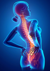 Women Feeling the Back pain