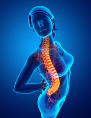 Women Feeling the Back pain