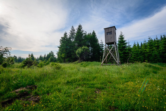 Hochsitz in Wald Landschaft Erzgebirge
