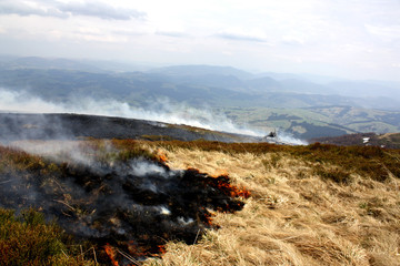 A dry grass burns in mountains. Wildfire in mountains