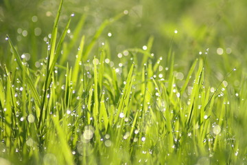 Obraz premium SAMSUNG CSC