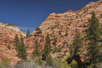 USA. Landscapes of Zion National Park