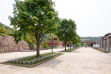 Fototapeta premium 公園