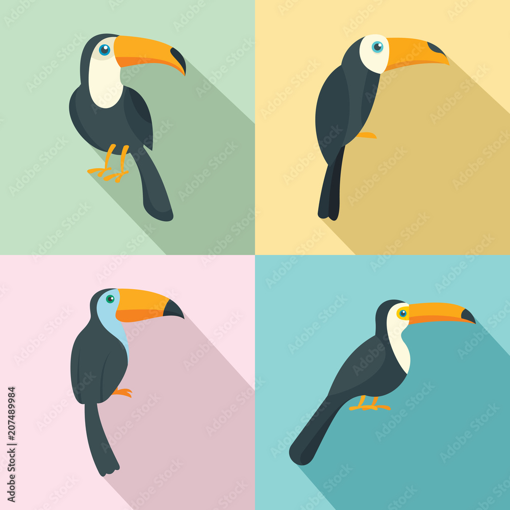 Poster toucan parrot bird icons set. flat illustration of 4 toucan parrot bird vector icons for web