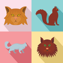 Maine coon cat profile icons set. Flat illustration of 4 maine coon cat profile vector icons for web