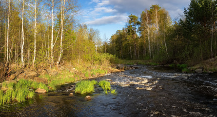 летний пейзаж с рекой и лесом, Россия, Урал  © 7ynp100