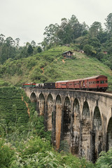 Fototapeta na wymiar Train crossing Nine Arches bridge, Ella, Sri Lanka