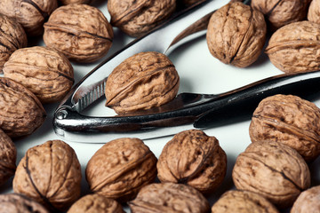 Walnut in shell group on a white table with a metal nut cracker