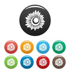 Tall sunflower icon. Simple illustration of tall sunflower vector icons set color isolated on white