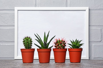 Red flower pot with small cacti and mock-up of white frame with copy space for poster