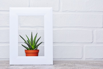 Red flower pot with small cactus in white frame with copy space