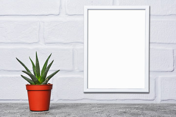 Red flower pot with small cactus and mock-up of white frame with copy space for poster